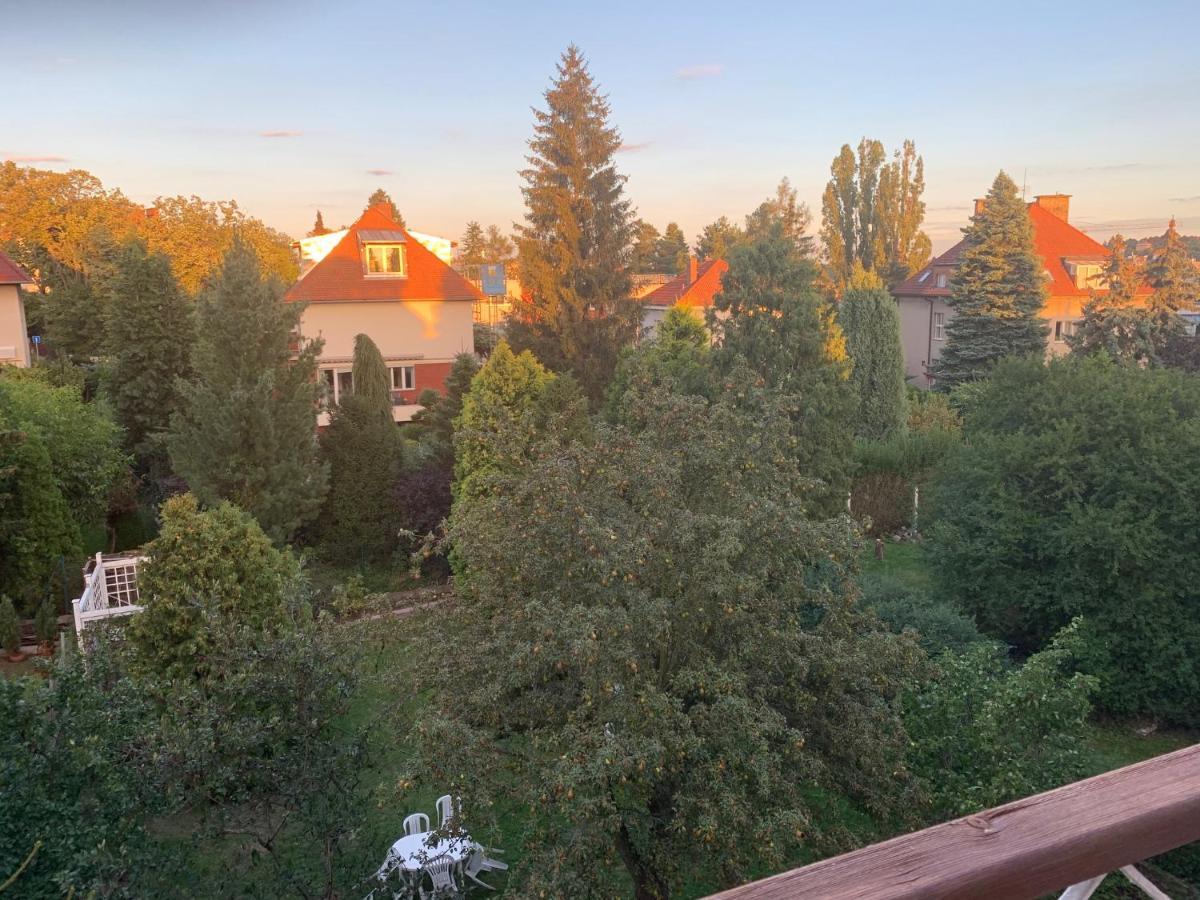 Sarka Praga